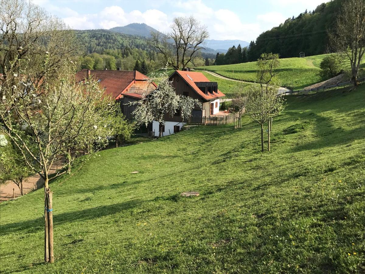 Pension Ober Зігсдорф Екстер'єр фото